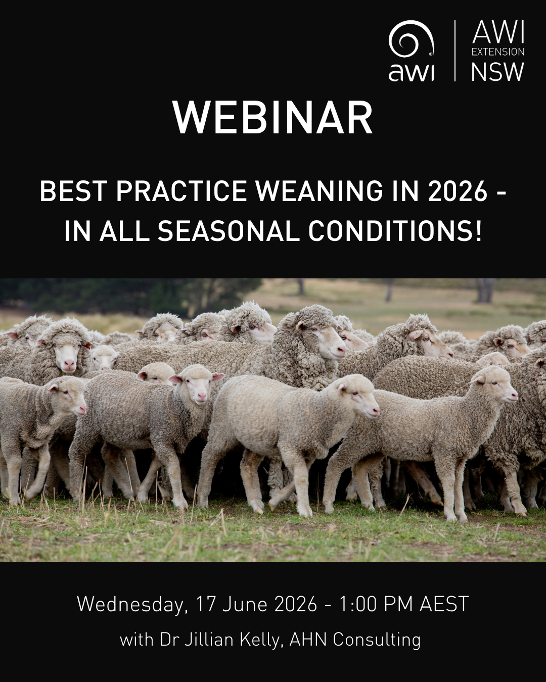 Social media tile for webinar with webinar details and photo of sheep